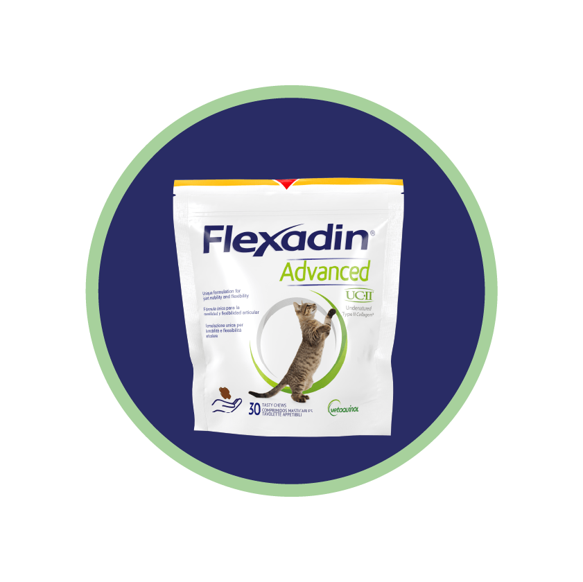 flexadin-kot
